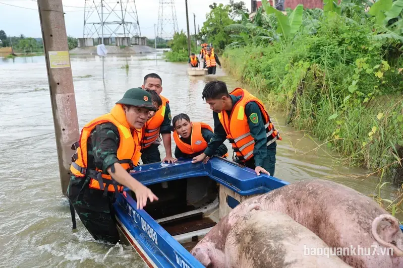 TP. Đồng Nai: Cán bộ, chiến sĩ Ban CHQS xã Bình Minh giúp dân trong vùng ngập