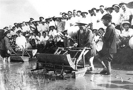 Lời Bác Hồ dạy ngày này năm xưa: Trên mặt trận nông nghiệp, mỗi đồng bào nhà nông phải là một chiến sĩ xung phong