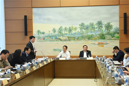 Đại tướng Lương Cường: Cần đánh giá kỹ hơn tác động liên quan đến quốc phòng - an ninh