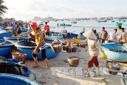 Cảnh giác với luận điệu đánh đồng “môi trường và chính trị”